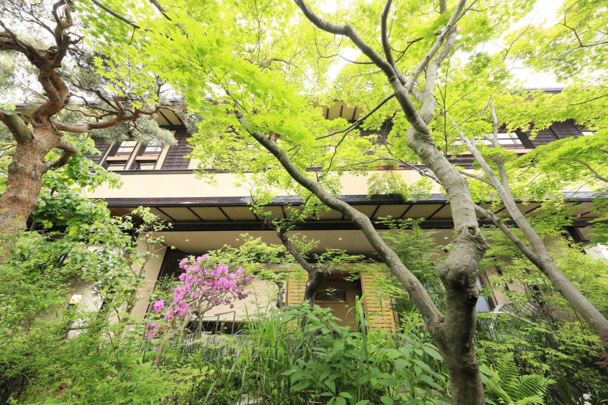 上山市 叶山馆酒店 外观 照片